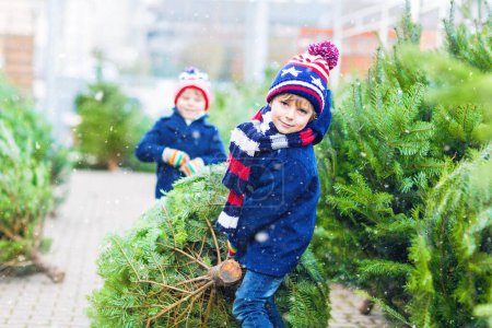 Téléchargez les photos : Deux petits frères et soeurs tenant un sapin de Noël. Enfants heureux en vêtements d'hiver choisir et acheter arbre de Noël dans la boutique en plein air. Famille, tradition, concept de célébration - en image libre de droit