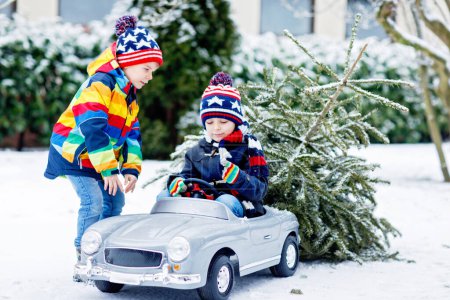 Téléchargez les photos : Deux petits garçons conduisant une voiture jouet avec un sapin de Noël. Enfants heureux, frères et sœurs, jumeaux, amis en vêtements de mode d'hiver apportant arbre de Noël taillé de forêt enneigée. Famille, tradition, vacances - en image libre de droit