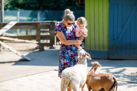Foto de Adorable linda niña y madre joven alimentando cabras y ovejas en una granja de niños. Hermoso bebé acariciando animales en zoológico de mascotas. Mujer e hija juntas en vacaciones familiares de fin de semana - Imagen libre de derechos