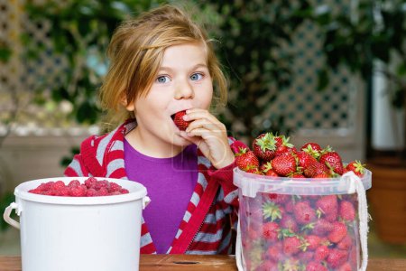 Téléchargez les photos : Portrait of happy little preschool girl eating healthy strawberries and raspberries. Smiling child with ripe berries from garden or field. Healthy food for children, kids - en image libre de droit
