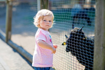 Photo for Adorable cute toddler girl feeding little goats and sheeps on a kids farm. Beautiful baby child petting animals in petting zoo. Excited and happy girl on family weekend - Royalty Free Image