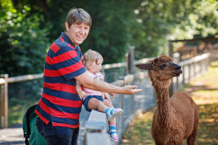 Foto de Adorable niña linda y padre joven alimentando lama y alpaca en una granja de niños. Hermoso bebé acariciando animales en zoológico de mascotas. hombre e hija juntos en vacaciones de fin de semana familiares - Imagen libre de derechos