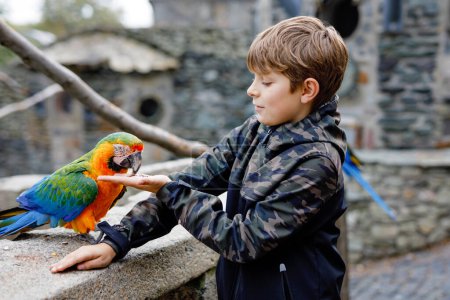 Téléchargez les photos : Magnifique écolier garçon nourrissant des perroquets dans le jardin zoologique. Jeux d'enfants et nourrir les oiseaux amicaux confiants dans le zoo et le parc animalier. Les enfants découvrent la faune et le perroquet - en image libre de droit