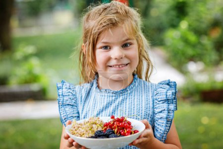 Téléchargez les photos : La petite fille tient les groseilles rouges, les groseilles blanches et les mûres dans un bol dans un jardin d'été ensoleillé. Une alimentation saine pour les enfants. Bio fruits pour enfants - en image libre de droit