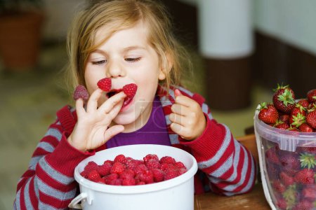 Foto de Portrait of happy little preschool girl eating healthy strawberries and raspberries. Smiling child with ripe berries from garden or field. Healthy food for children, kids - Imagen libre de derechos