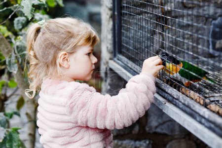 Foto de Adorable niñita alimentando loros en el jardín zoológico. Feliz niño jugando y alimentando a las aves amigables en el parque de vida silvestre. Niños aprendiendo sobre la vida silvestre y el loro - Imagen libre de derechos