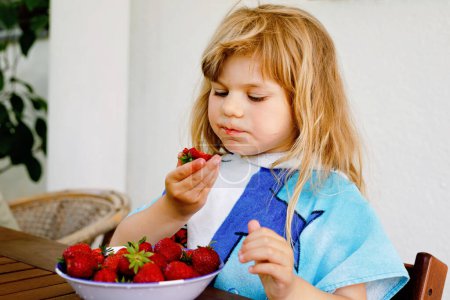Photo for Little preschool toddler girl eating fresh strawberries. Adorable baby child tasting and biting ripe strawberry. Healthy food, childhood and development. Happy kid at home or nursery - Royalty Free Image
