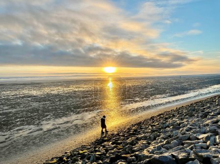 Foto de Cheerful little girl walking and searching shells on beach of North Sea during low tide on cold but sunny spring day - Imagen libre de derechos