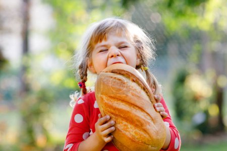 Téléchargez les photos : Petite fille tout-petit tenant un gros pain. Drôle enfant heureux mordre et manger du pain sain, à l'extérieur. Enfant affamé - en image libre de droit