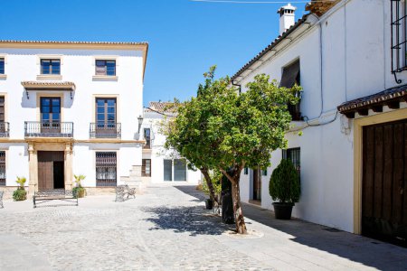 Téléchargez les photos : Rues de la ville de ronda, Andalousie en Espagne. Belle ville blanche - en image libre de droit