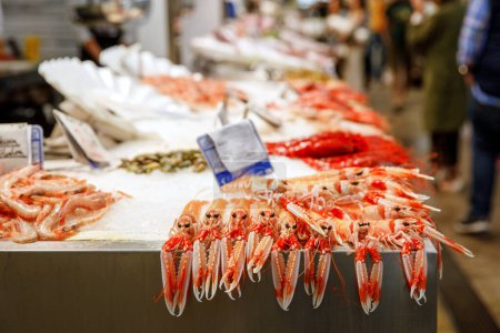 Téléchargez les photos : Superbe étal de poissons et fruits de mer frais dans le marché central de Cadix. C'est le plus ancien marché couvert d'Espagne - en image libre de droit
