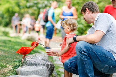 Photo for Cute adorable toddler girl and dad feeding red ibis bird in a zoo or zoological garden. Happy heathy child and man having fun with giving animals food in park. Active leisure for family in summer. - Royalty Free Image