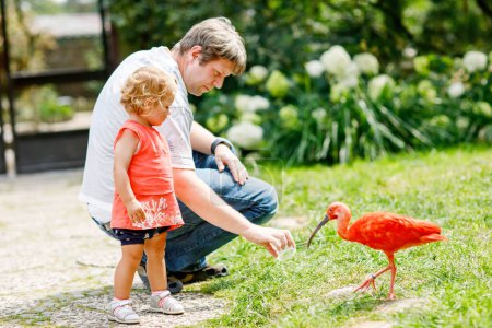 Photo for Cute adorable toddler girl and dad feeding red ibis bird in a zoo or zoological garden. Happy heathy child and man having fun with giving animals food in park. Active leisure for family in summer. - Royalty Free Image