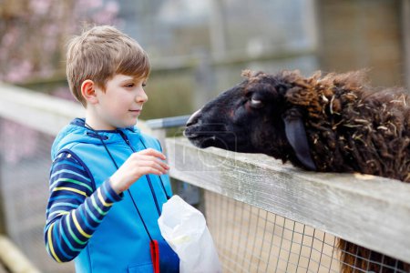 Photo for Little school kid boy feeding little goats and sheeps on a kids farm. Beautiful happy healthy child petting animals in the zoo. Excited and happy boy on family weekend - Royalty Free Image