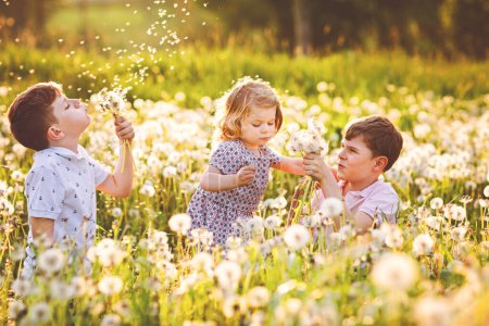 Téléchargez les photos : Deux enfants garçons et petite fille soufflant sur un pissenlit fleurs sur la nature en été. Heureux enfant en bas âge en bonne santé et les écoliers avec des balles de souffle, s'amuser. Famille de trois amour, ensemble. - en image libre de droit