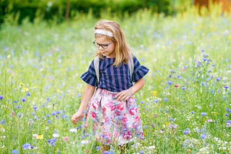Little Preschool Girl in Field with Different Flowers. Happy Child Picking Flower with Different Colors. Summer, Childhood, Happiness, Family Concept