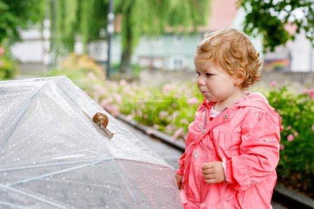 Téléchargez les photos : Jolie adorable petite fille découvrant escargot sur une promenade. Beau tout-petit frisé enfant s'amusant le jour de pluie. Avec grand parapluie, enfant en vêtements imperméables
. - en image libre de droit