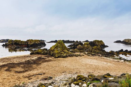 Région de Ballintoyat the Antrim Coast, Irlande du Nord. Paysage et littoral irlandais rigoureux, faisant partie du Wild Atlantic Way
