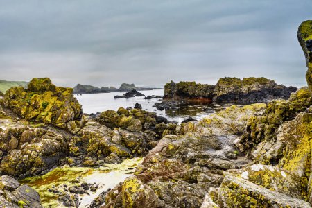 Photo for Area of Ballintoyat the Antrim Coast, Northern Ireland. Harsh Irish landscape and coastline, part of Wild Atlantic Way - Royalty Free Image