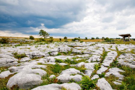 Photo for Burren National Park in Ireland, county Clare. Rough Irish nature. Beautiful landscape - Royalty Free Image