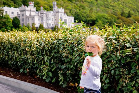 Cute toddler girl with Irish cloverleaf lollipop with Kylemore Abbey on background. Happy healthy child on flower meadow eating unhealthy sweets. Family and small children vacations in Ireland.