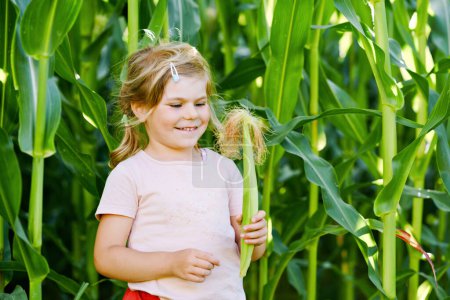 Foto de Feliz niñita jugando en el campo de laberinto de maíz en la granja orgánica, al aire libre. Divertido hild niño divertirse con correr, la agricultura y la jardinería de verduras. Ocio familiar activo en verano - Imagen libre de derechos