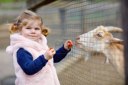 Foto de Adorable linda niña alimentando cabras y ovejas en una granja de niños. Hermoso bebé acariciando animales en el zoológico. Emocionado y feliz chica en fin de semana familiar - Imagen libre de derechos