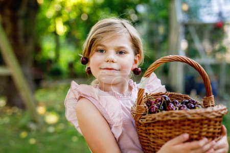 Foto de Hermosa chica en el jardín. Chica feliz con cerezas. Preschol niño con cesta llena de bayas maduras y divertidos pendientes de cereza - Imagen libre de derechos