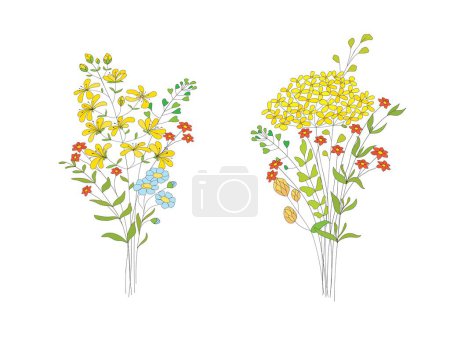 Foto de Ramos de flores. Hierbas, plantas y hojas elegantes dibujadas a mano. Botánico rústico de moda verde vector - Imagen libre de derechos