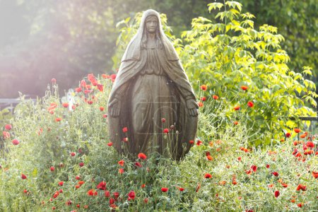 Fatima and red poppy flowers, beauty