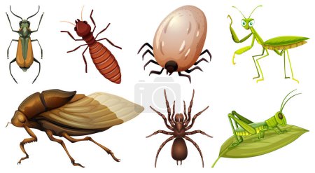Téléchargez les illustrations : Collection d'illustrations vectorielles de différents insectes - en licence libre de droit