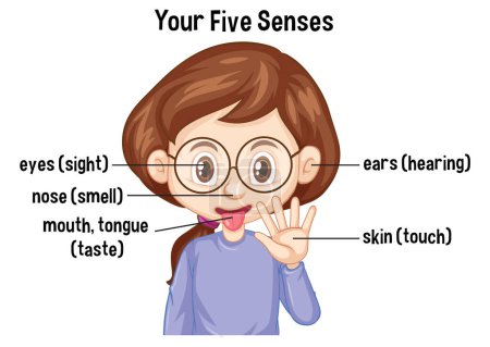 Illustration for Five human senses concept illustration - Royalty Free Image