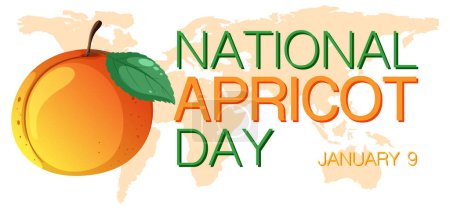 Illustration for National Apricot Day Poster Design illustration - Royalty Free Image