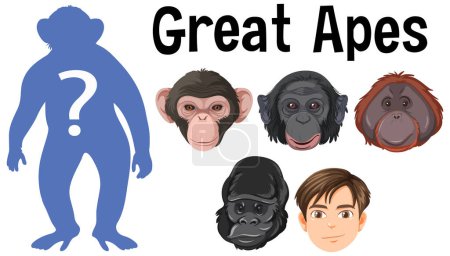 Illustration for Five different types of great apes illustration - Royalty Free Image