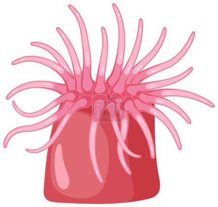 Illustration for Isolated sea anemones  shoreline animal illustration - Royalty Free Image
