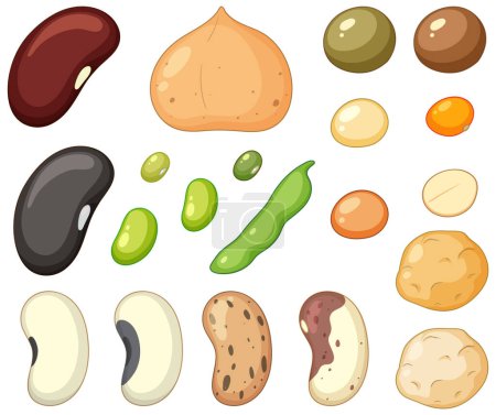 Ilustración de Set of different nuts illustration - Imagen libre de derechos