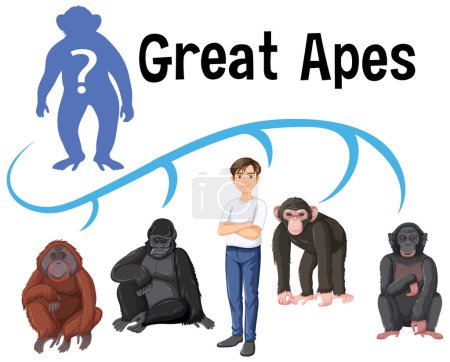 Téléchargez les illustrations : Five different types of great apes illustration - en licence libre de droit