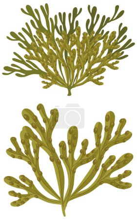 Illustration for Wrack seaweed cartoon isolated illustration - Royalty Free Image
