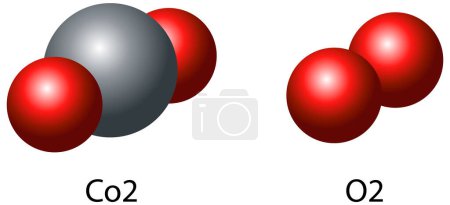 Illustration for Molecules of carbon dioxide and oxygen illustration - Royalty Free Image
