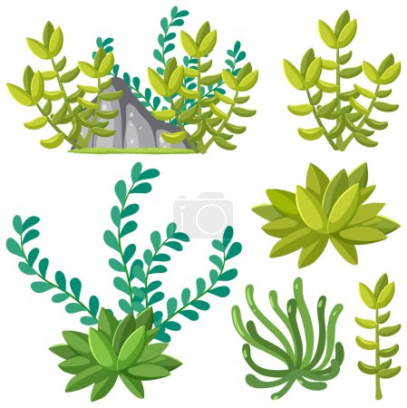 Ilustración de Conjunto de plantas suculentas para la ilustración de decoración - Imagen libre de derechos