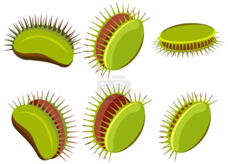 Ilustración de Set of venus flytrap plants isolated illustration - Imagen libre de derechos