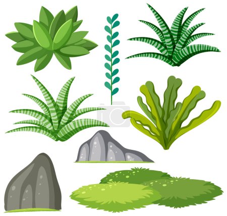 Téléchargez les illustrations : Set of succulent plants for decoration illustration - en licence libre de droit