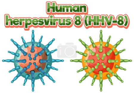 Illustration for Human herpesvirus 8 (HHV 8) on white background illustration - Royalty Free Image