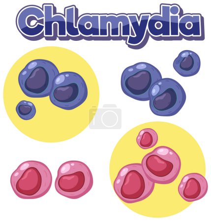 Illustration for Chlamydia trachomatis virus on white background illustration - Royalty Free Image