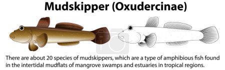 Ilustración de Mudskipper Movement Vector Concept illustration - Imagen libre de derechos