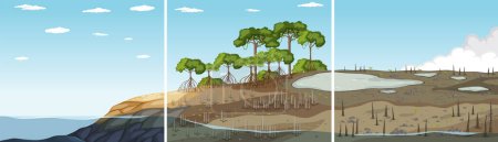 Ilustración de Tres tipos diferentes de ilustración de manglares - Imagen libre de derechos
