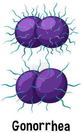 Téléchargez les illustrations : Neisseria gonorrhoeae bacterium with text illustration - en licence libre de droit