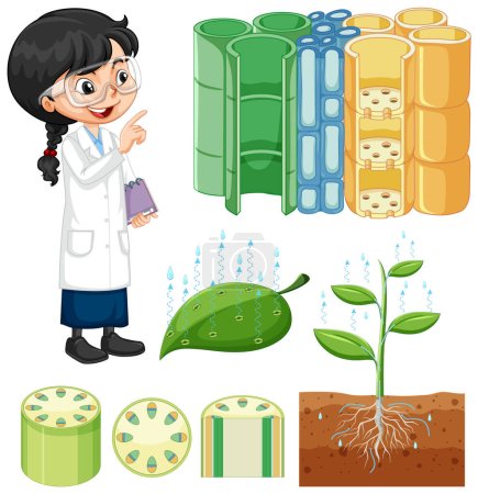 Illustration for Plant structure with student girl illustration - Royalty Free Image