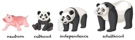 Téléchargez les illustrations : Illustration d'images de visage de dessin animé Panda - en licence libre de droit