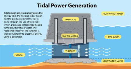 Illustration for Tidal Electricity Concept for Science Education illustration - Royalty Free Image